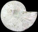 Silver Iridescent Ammonite - Madagascar #61509-1